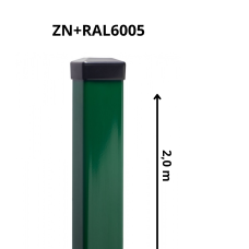 STABS 60x40mm ar PVC cepurīti, 2.00m, ZN+RAL