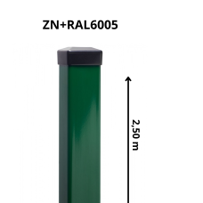 STABS 60x40mm ar PVC cepurīti, 2.5m, ZN+RAL