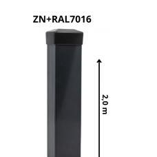 STABS 60x40mm ar PVC cepurīti, 2.00m, ZN+RAL